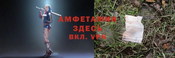МДПВ Инсар