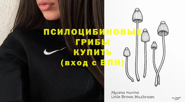 прущий лед Инта
