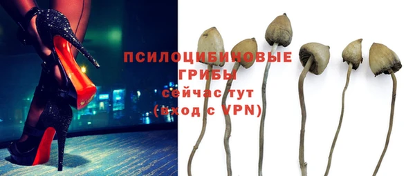 МДПВ Инсар