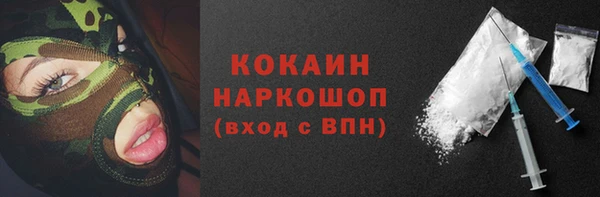 прущий лед Инта