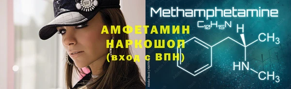 МДПВ Инсар