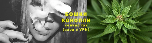 МДПВ Инсар