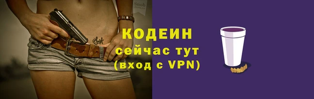 прущий лед Инта