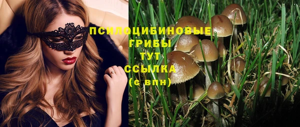 МДПВ Инсар