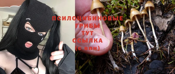 МДПВ Инсар
