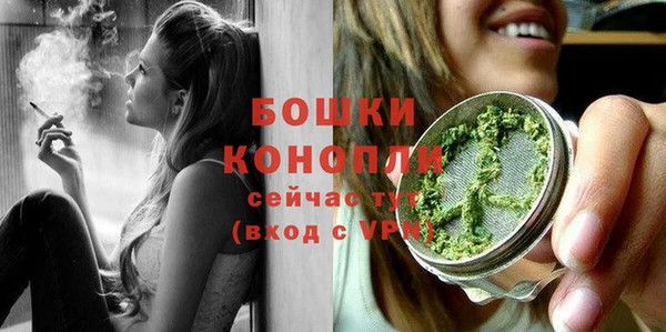 МДПВ Инсар