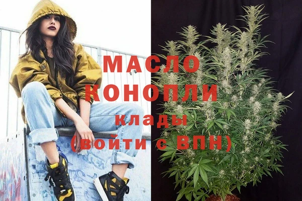 МДПВ Инсар