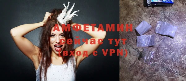МДПВ Инсар