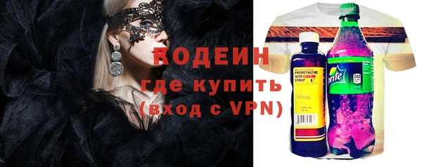 МДПВ Инсар