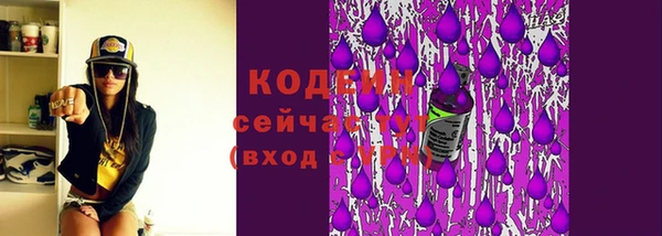 прущий лед Инта