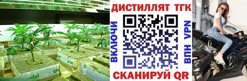 Купить закладки  Краснознаменск  ТГК гашишное масло 