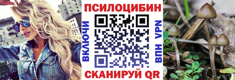 Псилоцибиновые грибы мухоморы  Купить где  Краснознаменск 