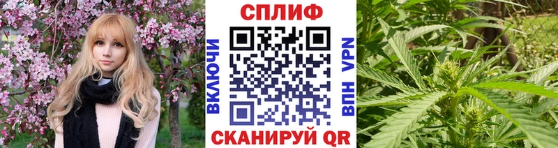 МАРИХУАНА SATIVA & INDICA  Купить закладки  Краснознаменск 